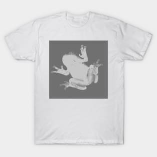 Rain Frog T-Shirt